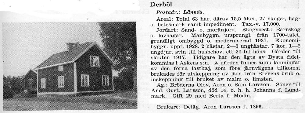 derbol