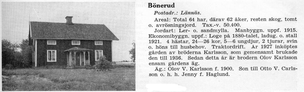 bönerud